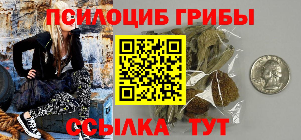 Тольятти  Галлюциногенные грибы Psilocybe  Вход с VPN 