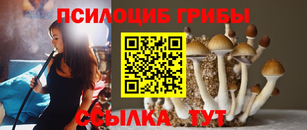 Галлюциногенные грибы прущие грибы Тольятти